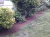 photo-0-un jardin de petite copropriété en cours d'aménagement et dont je m'occupe.