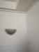 photo-0-Peinture cuisine