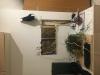 photo-0-Remplacement de plaquo