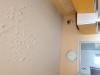 photo-0-renovation peinture appartement avec ascenseur