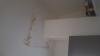 photo-2-Rafraîchissement mur/plafond suite humidité