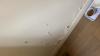 photo-0-Peinture apres DDE