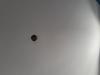photo-3-Travaux de petit bricolage