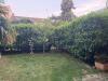photo-0-Jardinage - tailler la haie