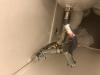 photo-1-Fuite du jet de douche au wc