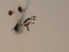 photo-3-Peinture