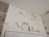 photo-0-Peinture mur et plafond salle de bain