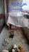 photo-4-Recherche service petit travaux enclos animaux