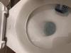 photo-0-Chasse d'eau