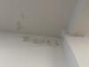 photo-0-Enduit et peinture
