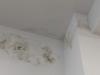 photo-2-Enduit et peinture