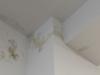 photo-3-Enduit et peinture