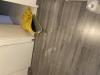 photo-3-URGENT /. Changer le parquet flottant dans l'entrée (surface entre 3 et 4m2)
