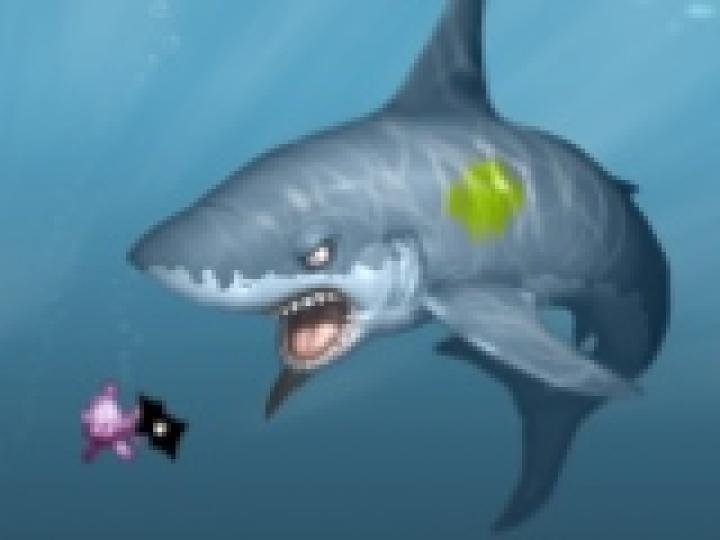 Vidéo décalée : Bosco joue comme un fish face à des réguliers en NL20