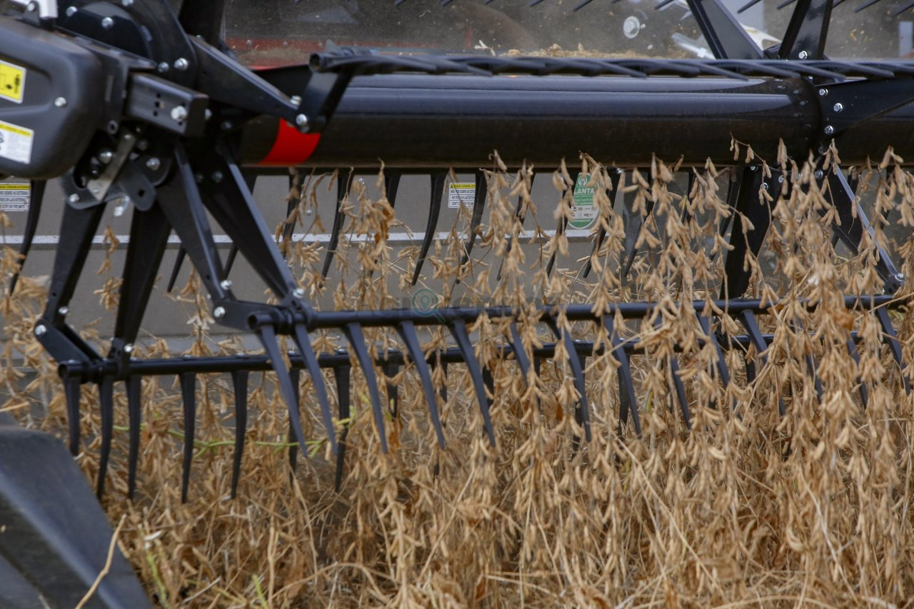 Paraná tem quatro municípios na lista dos 100 mais ricos do mercado agronegócio; Confira!