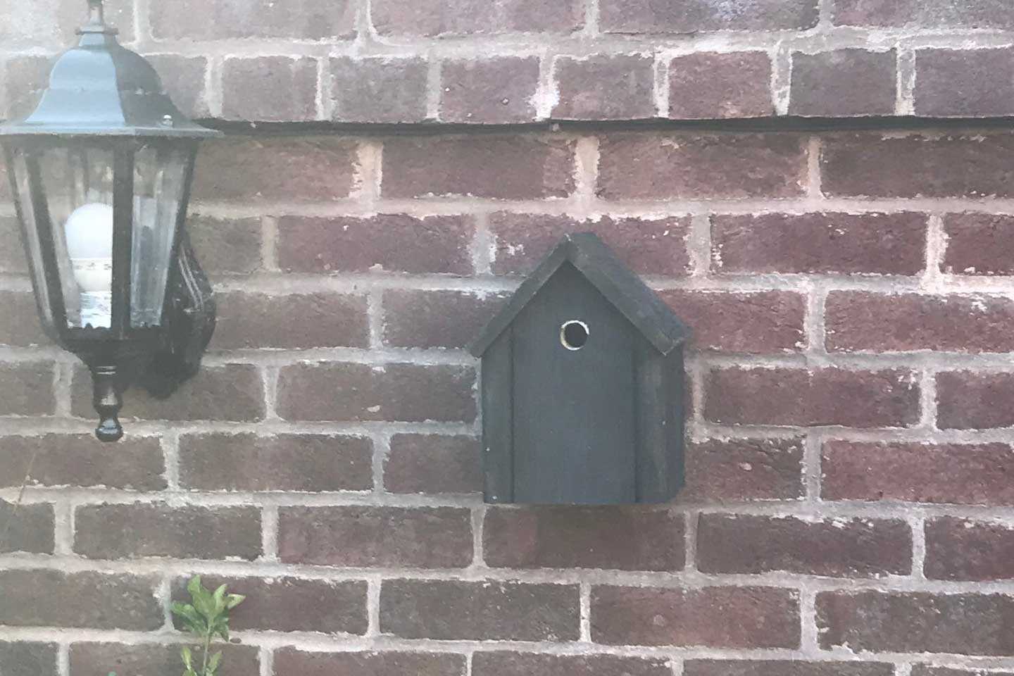 Bird Box