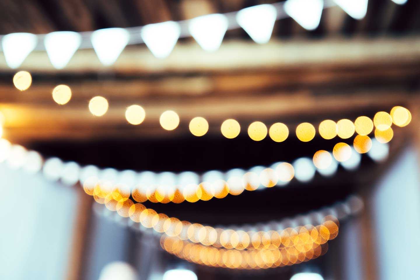 Garden Fairylights