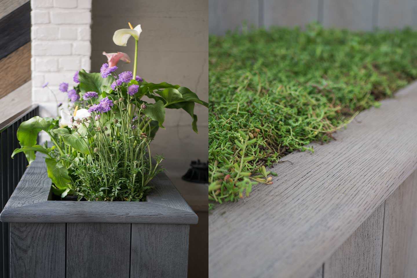 Millboard planters
