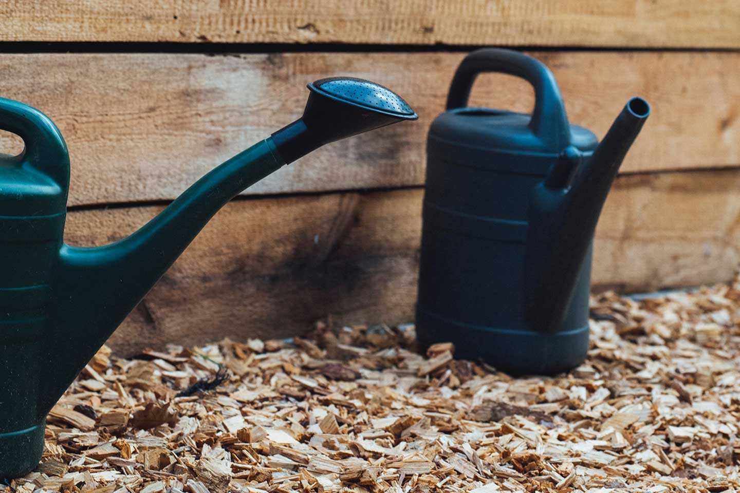 November gardening jobs