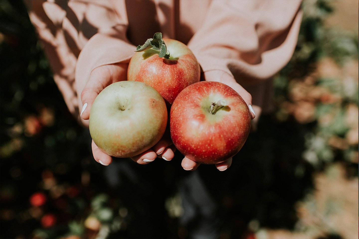October apples