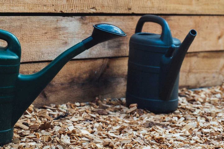 November gardening jobs