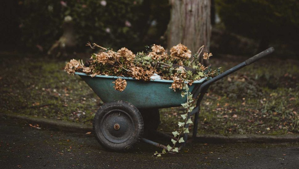 Annie spratt Ki PZ Mg G U Dg unsplash