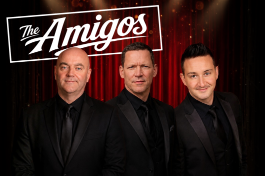 Amigos web image