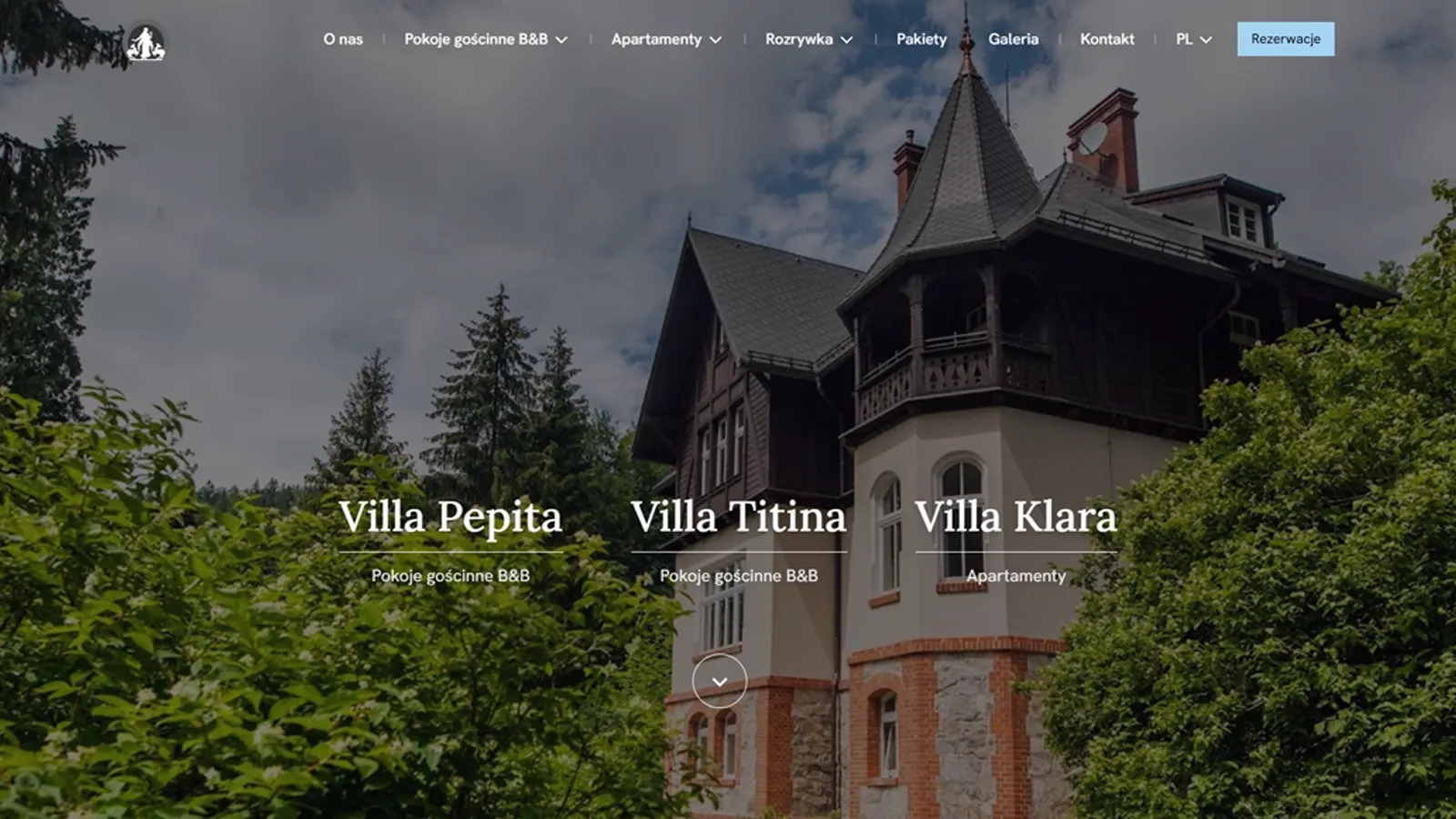 Homepage hero section with video background