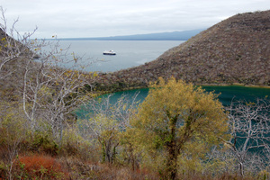 Caleta Tagus, Isabela, Galapagos