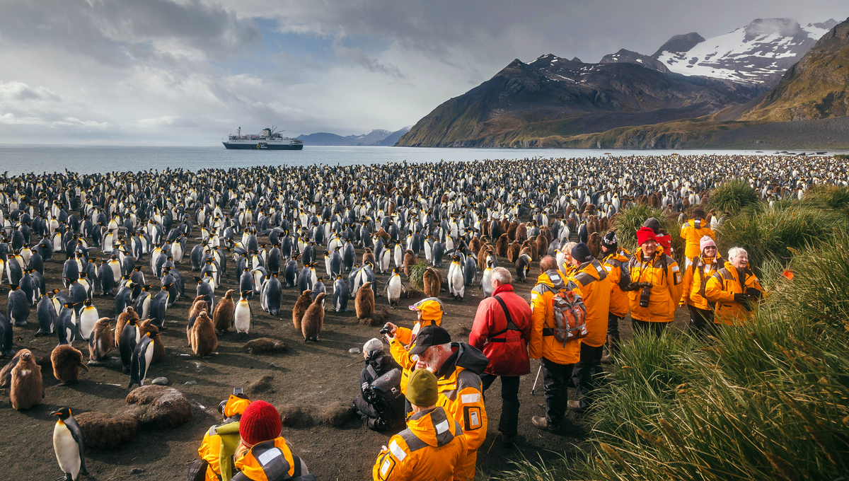 6 of the best expedition cruise lines for solo travellers Mundy