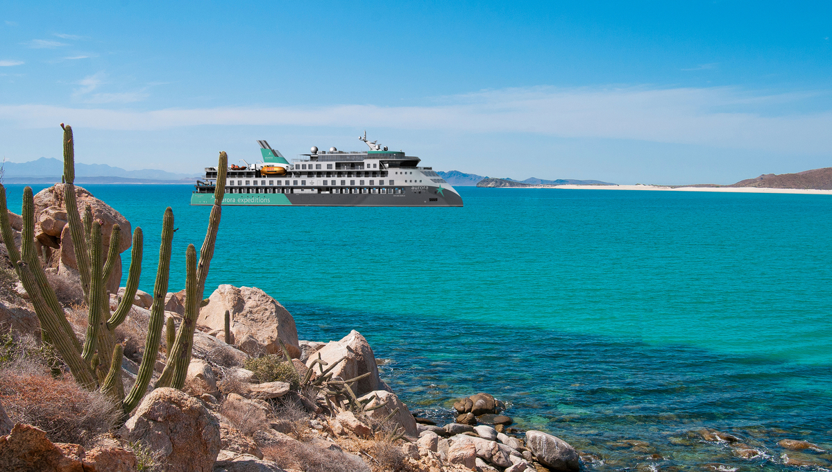 Rendering of the Sylvia Earle, Aurora Expeditions' new ship, cruising Baja California and the Sea of Cortez