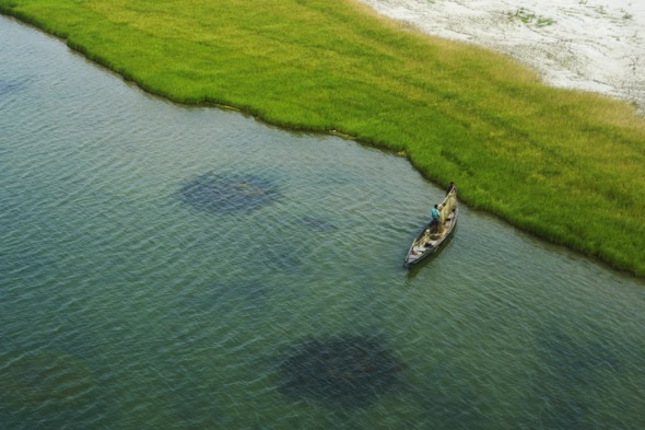 Fisherman in Bangladesh