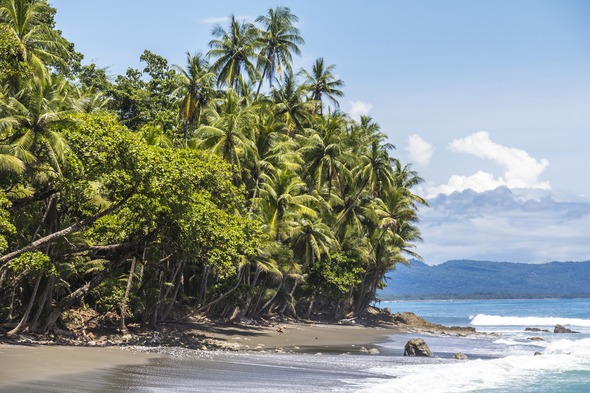 Beach in Corcovado National Park, Costa Rica