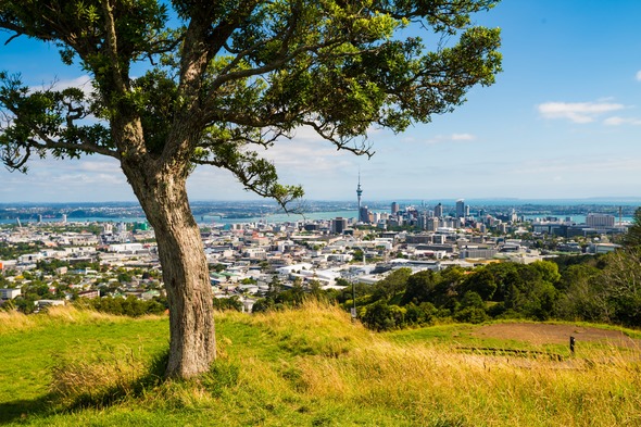 Panoramic view of Auckland, New Zealand