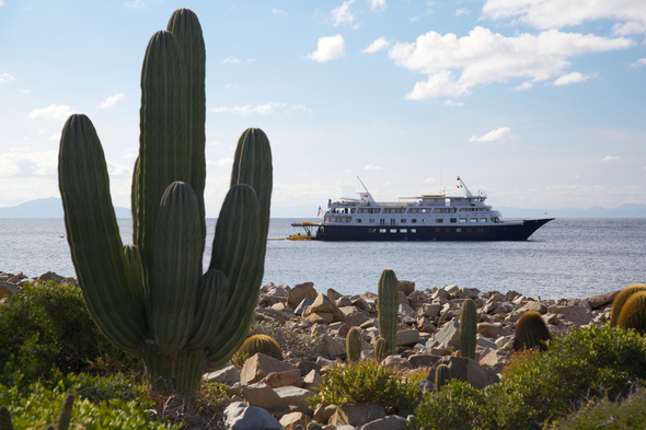 UnCruise Adventures in the Sea of Cortez