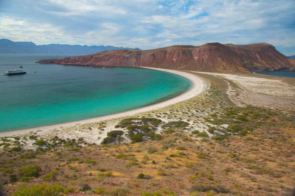 Sea of Cortez, Mexico