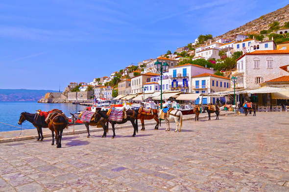 Donkeys in Hydra, Greece