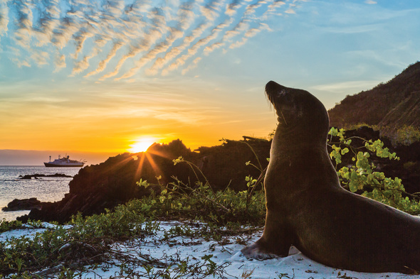 Lindblad Expeditions - National Geographic Explorer in the Galapagos