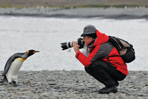 Silversea Expeditions - Photographing penguin in Antarctica