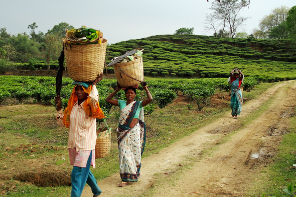 Locals in Assam on a Brahmaputra river cruise, India