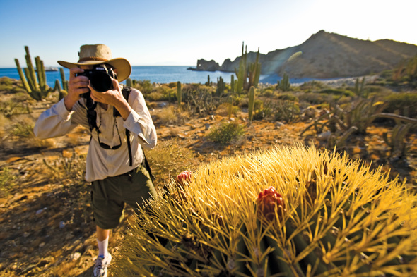 Photography on a Lindblad Expeditions cruise in the Sea of Cortez