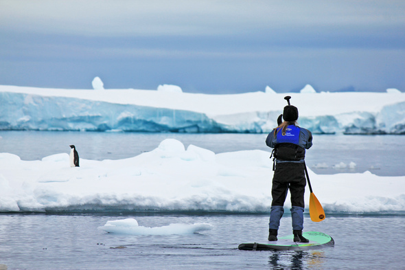 best-antarctica-cruises