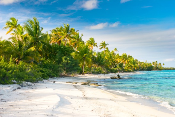 Beach in the Fakarava atoll, French Polynesia