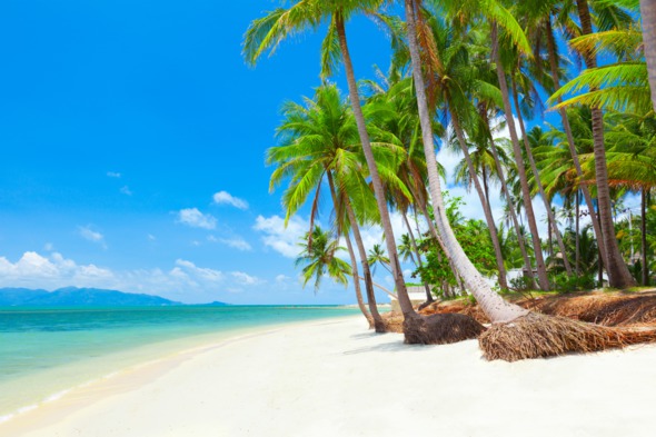 Beach on Koh Samui, Thailand