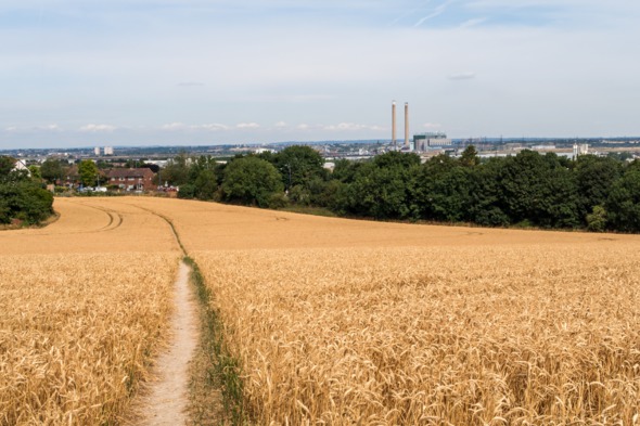 Fields near Tilbury, UK