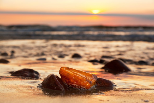 Amber on a beach on the Baltic Sea, Poland