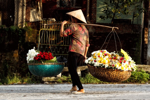 Flower vendor in Hanoi, Vietnam