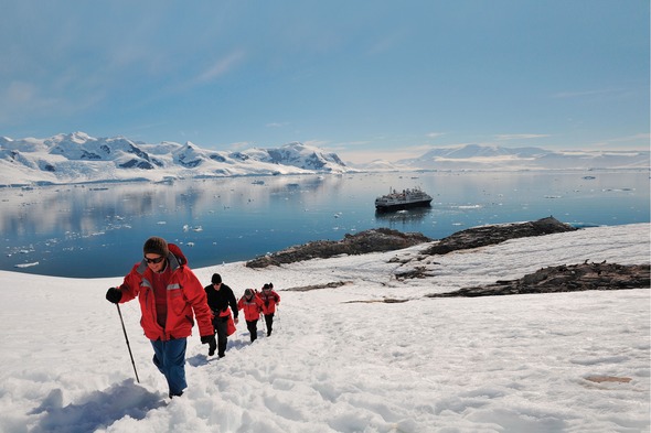 Try an expedition cruise and explore destinations such as Antarctica