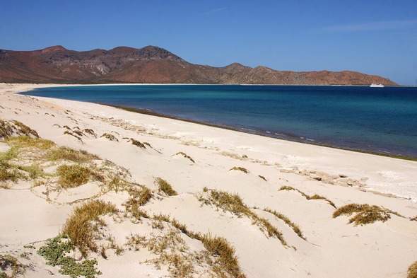 Beach on Espiritu Santo Island in the Sea of Cortez, Mexico