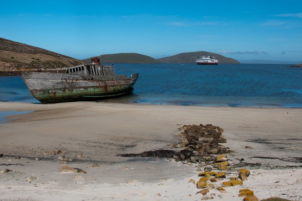 Shipwreck on New Island, the Falklands
